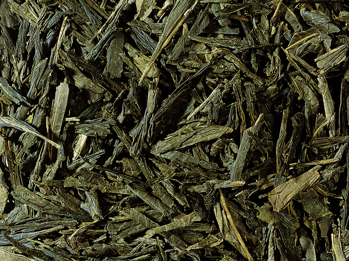 Tè verde bancha
