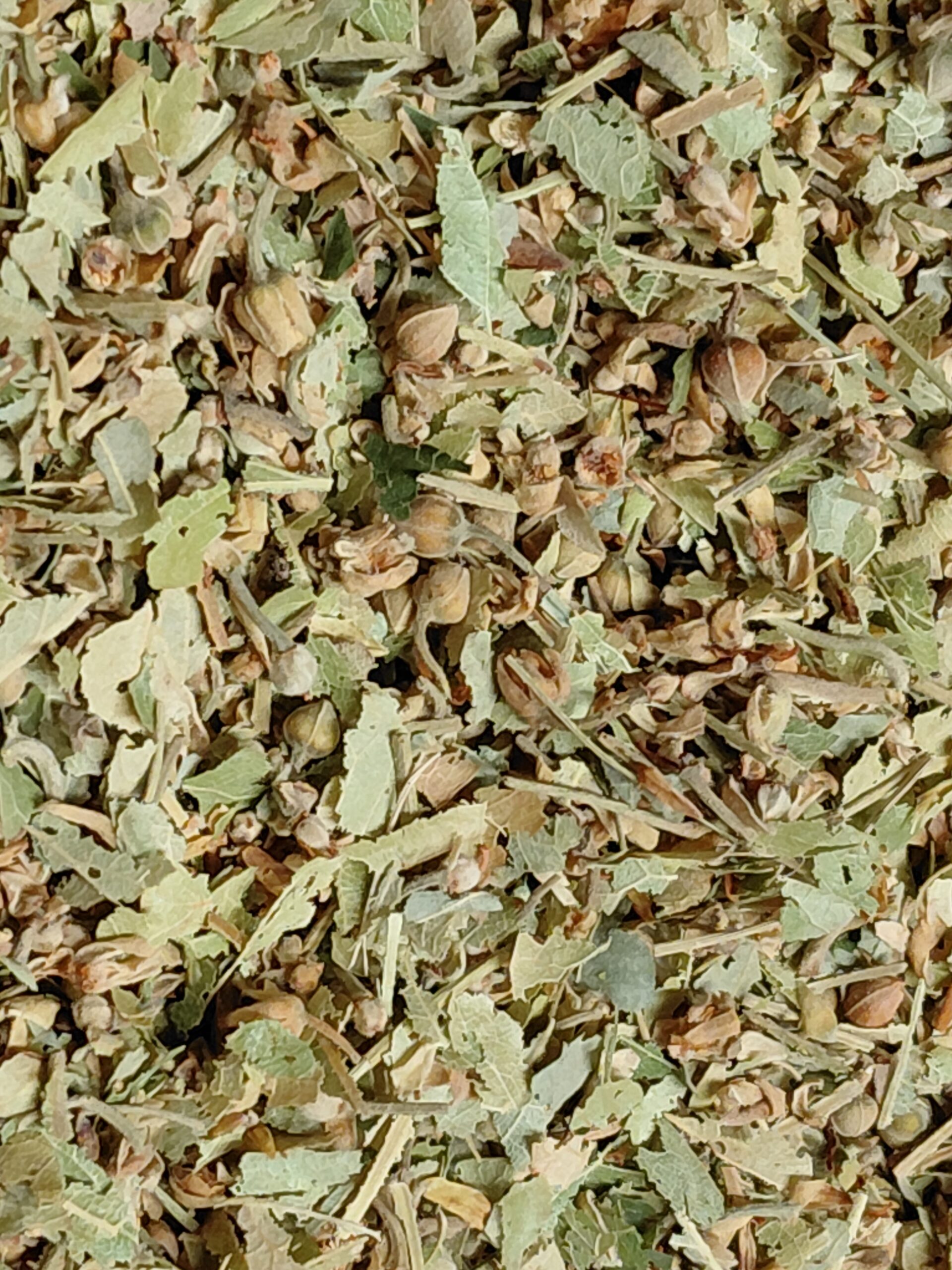 Infuso tiglio fiori e brattee
