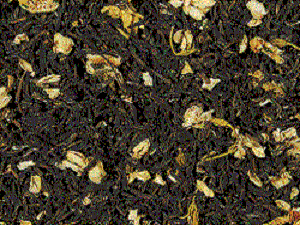 JASMINE-CHASEN