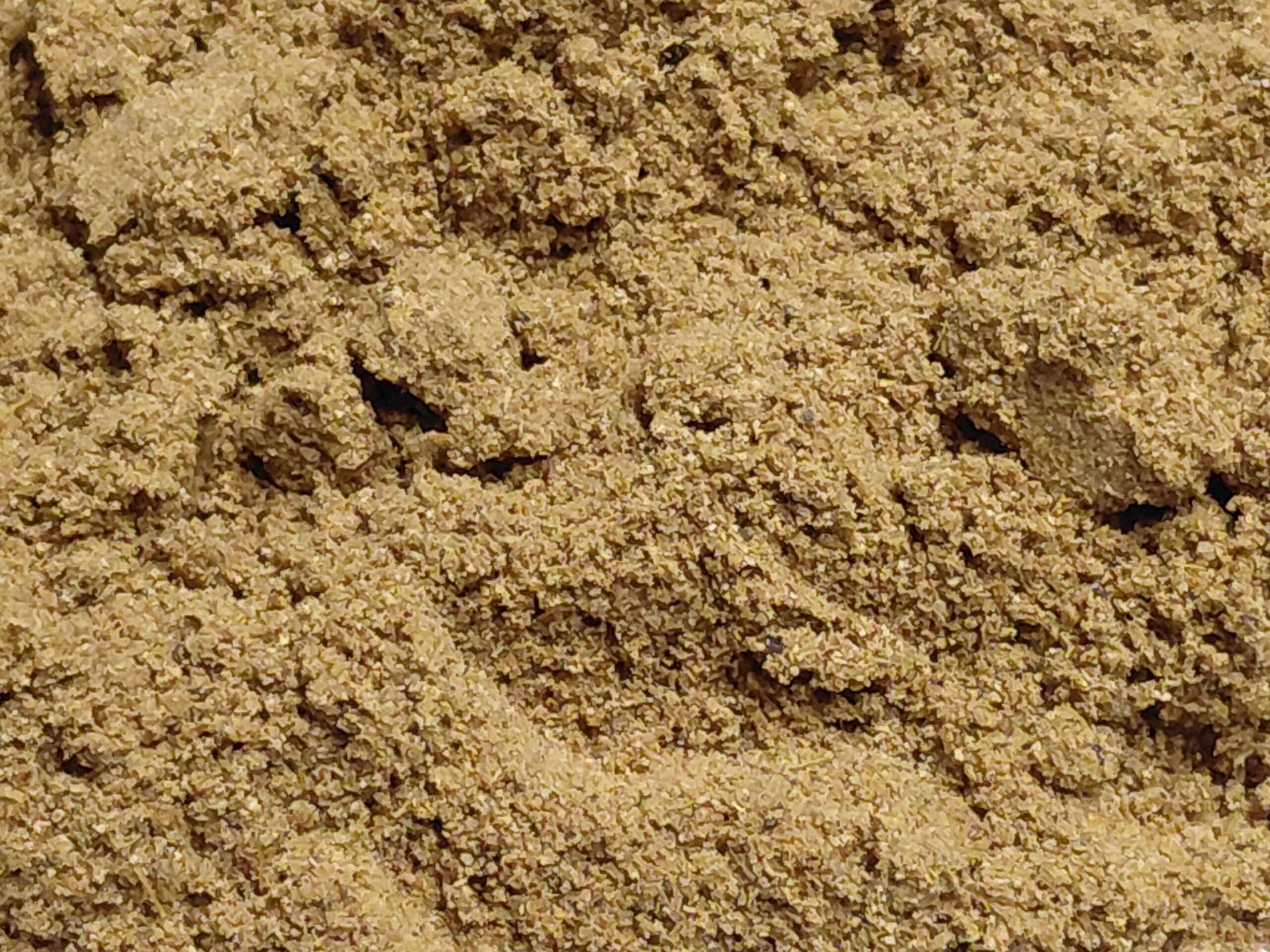 spezia garam masala