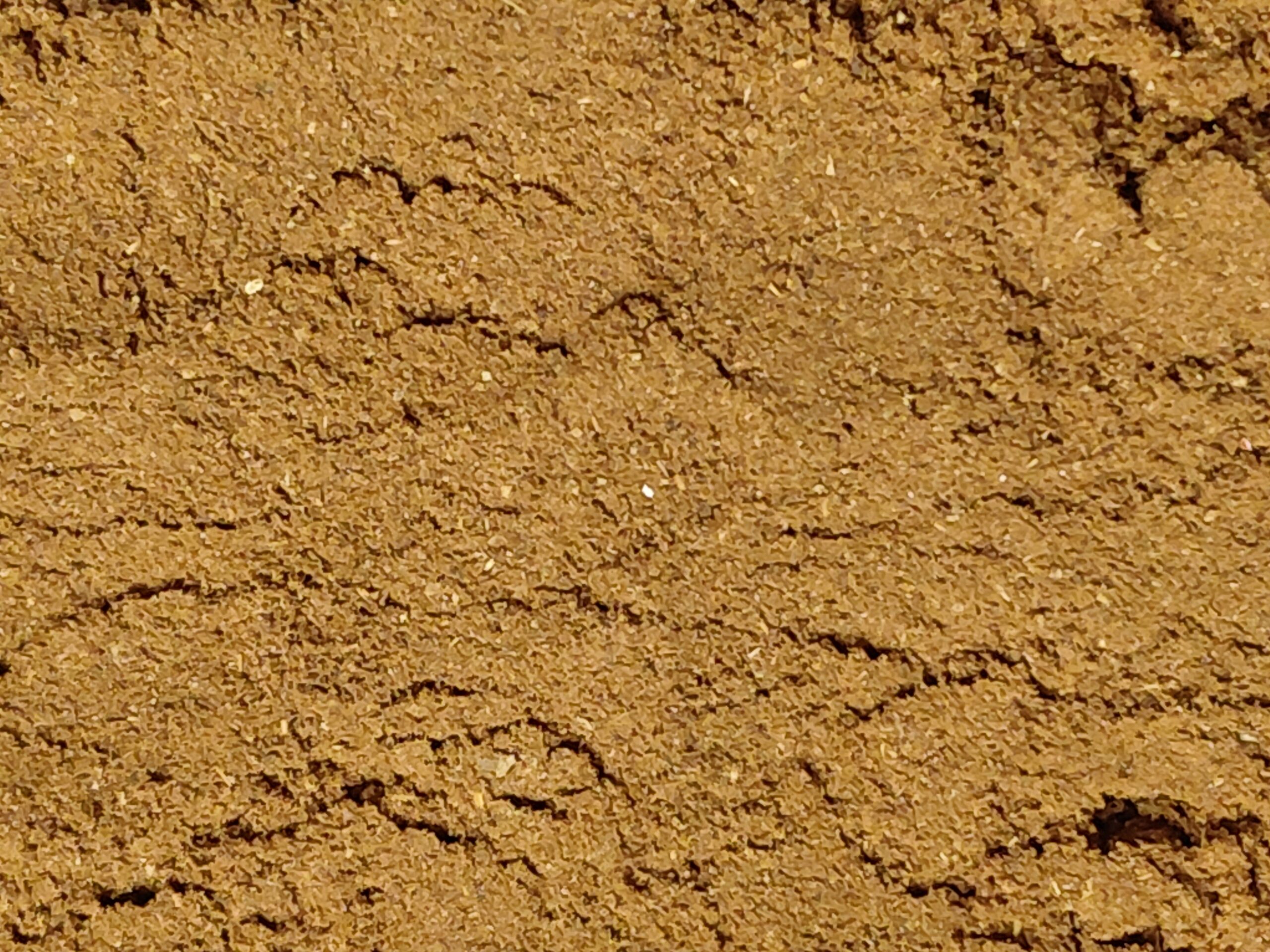 Spezie per panpepato
